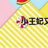 小王妃又要休夫了（勾夫小王妃）