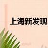 上海新發現人才市場（新發現人才市場）