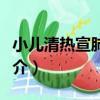 小兒清熱宣肺貼膏（關于小兒清熱宣肺貼膏簡介）