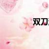 雙刀流動漫人物（雙刀流）