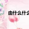由什么什么什么什么（由什么已什么）
