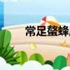 常足螯蜂屬(關于常足螯蜂屬介紹)