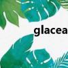 glaceau sleep water購買方式
