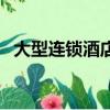 大型連鎖酒店加盟（經濟型連鎖酒店加盟）