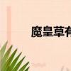魔皇草有什么用（魔皇草哪里多）