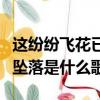 這紛紛飛花已墜落是什么意思（這紛紛飛花已墜落是什么歌）