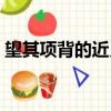望其項背的近義詞是啥（望其項背的近義詞）