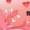 我在網絡里遇見了你