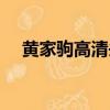 黃家駒高清頭像大全（黃家駒高清頭像）