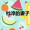 杜淳的妻子王燦個人資料（杜淳的妻子）
