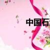 中國石油三巨頭（石油三巨頭）