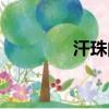 汗珠的讀音（汗珠的拼音）