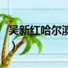 吳新紅哈爾濱鐵路局局長（哈爾濱鐵路局局長）