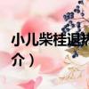 小兒柴桂退熱顆粒（關于小兒柴桂退熱顆粒簡介）