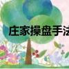 莊家操盤手法全揭秘圖解（莊家操盤手法）