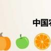 中國農業銀行證書枚舉控件