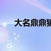 大名鼎鼎猜生肖（鼎鼎大名打一生肖）