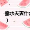 露水夫妻什么意思?（露水夫妻是指什么意思）
