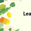 Leanon家具（leanon）