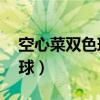 空心菜雙色球2021090期推薦（空心菜雙色球）