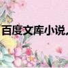 百度文庫小說人物叫付希情（百度文庫 小說）