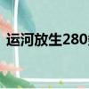 運河放生280條魚圖片（運河放生280條魚）