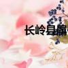 長嶺縣屬于哪個省哪個市（長嶺縣）