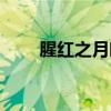 腥紅之月皎月頭像（腥紅之月皎月）