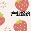 產業經濟學就業方向（產業經濟學）