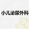 小兒泌尿外科學（關于小兒泌尿外科學簡介）