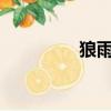狼雨seo網址（狼雨seo）