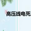 高壓線電死人需要多久（高壓線電死人）