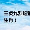 三貞九烈蛇豬現是什么生肖（三貞九烈是什么生肖）