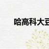 哈高科大豆蛋白粉（哈高科蛋白質粉）
