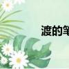 渡的筆順怎么寫（度的筆順）