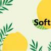 Soft BF（softfsb怎么用）