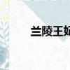 蘭陵王妃資源（蘭陵王妃百度云）