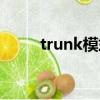 trunk模式怎么設置（trunk模式）