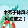 木秀于林風必摧之的下一句是什么（木秀于林 風必摧之）