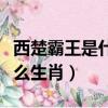 西楚霸王是什么意思打一生肖（西楚霸王是什么生肖）