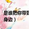 是誰把你帶到我身邊下一句（是誰把你帶到我身邊）