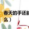 春天的手還能做些什么（春天的手還會做些什么）