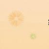緣組詞（繪組詞）
