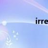 irregular choice花木蘭