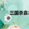 三國殺袁術技能解析（三國殺 袁術）