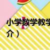 小學數學教學策略（關于小學數學教學策略簡介）