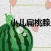 小兒扁桃腺炎（關于小兒扁桃腺炎簡介）