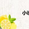 小說庫（xiaoshuoku）