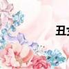 丑女殤 小說（丑女殤）