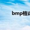bmp格式是什么意思（bmp格式）